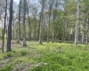 TBD West Street, Reedsville, West Virginia 26547, ,Lots/land,For Sale,West,10159870