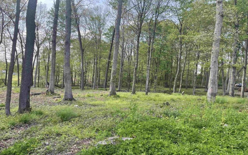 TBD West Street, Reedsville, West Virginia 26547, ,Lots/land,For Sale,West,10159870