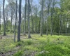 TBD West Street, Reedsville, West Virginia 26547, ,Lots/land,For Sale,West,10159870