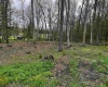 TBD West Street, Reedsville, West Virginia 26547, ,Lots/land,For Sale,West,10159870