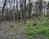 TBD West Street, Reedsville, West Virginia 26547, ,Lots/land,For Sale,West,10159870