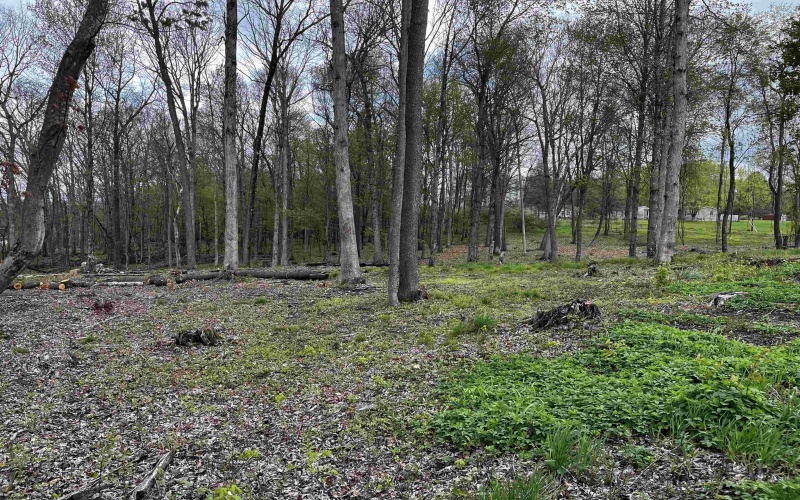 TBD West Street, Reedsville, West Virginia 26547, ,Lots/land,For Sale,West,10159870