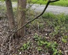 TBD West Street, Reedsville, West Virginia 26547, ,Lots/land,For Sale,West,10159870