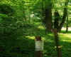 TBD Hope Hill Road, Mannington, West Virginia 26582, ,Lots/land,For Sale,Hope Hill,10159868