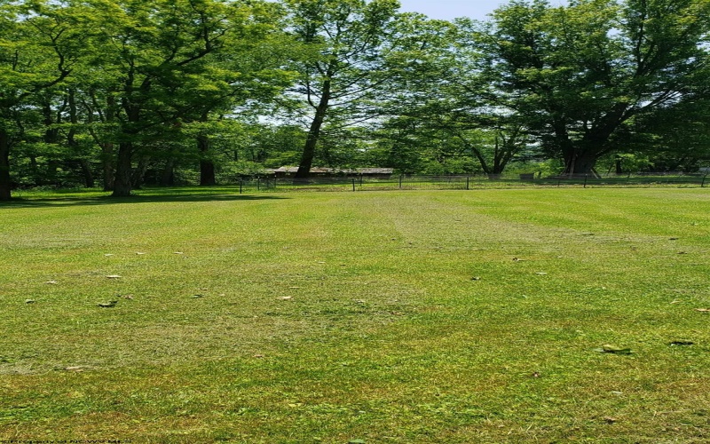 TBD Hope Hill Road, Mannington, West Virginia 26582, ,Lots/land,For Sale,Hope Hill,10159868