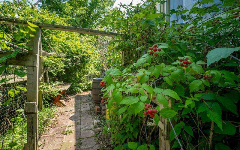 454 Kensington Avenue, Star City, West Virginia 26505, 1 Bedroom Bedrooms, 6 Rooms Rooms,1 BathroomBathrooms,Single Family Detached,For Sale,Kensington,10159886