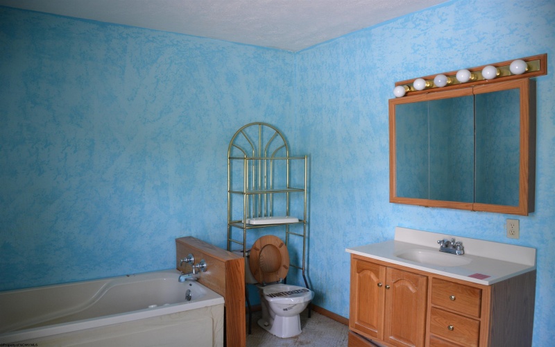 45 Springdale Street, Grafton, West Virginia 26354, 2 Bedrooms Bedrooms, 5 Rooms Rooms,2 BathroomsBathrooms,Single Family Detached,For Sale,Springdale,10159883