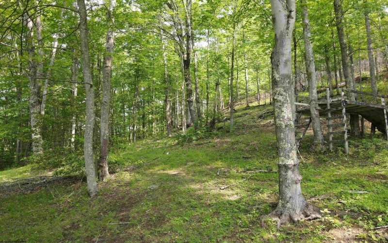 99 Gaines Road, Rock Cave, West Virginia 26234, 4 Bedrooms Bedrooms, 8 Rooms Rooms,2 BathroomsBathrooms,Single Family Detached,For Sale,Gaines,10159881