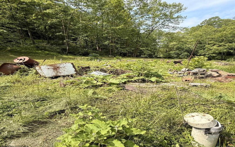8557 Copley Road, Weston, West Virginia 26452, ,Lots/land,For Sale,Copley,10159901