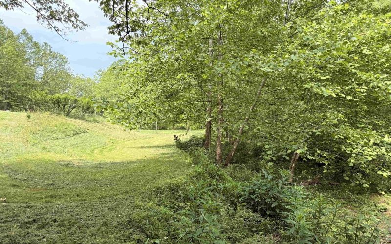8557 Copley Road, Weston, West Virginia 26452, ,Lots/land,For Sale,Copley,10159901