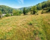 956 Middletown Road, Shinnston, West Virginia 26431, ,Lots/land,For Sale,Middletown,10159919