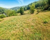 956 Middletown Road, Shinnston, West Virginia 26431, ,Lots/land,For Sale,Middletown,10159919