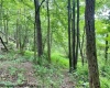 956 Middletown Road, Shinnston, West Virginia 26431, ,Lots/land,For Sale,Middletown,10159919