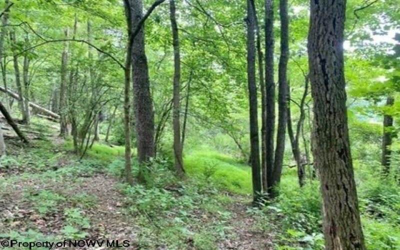 956 Middletown Road, Shinnston, West Virginia 26431, ,Lots/land,For Sale,Middletown,10159919