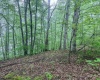 TBD Shortline Highway, New Martinsville, West Virginia 26162, ,Lots/land,For Sale,Shortline,10159922