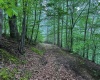 TBD Shortline Highway, New Martinsville, West Virginia 26162, ,Lots/land,For Sale,Shortline,10159922