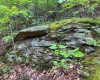 TBD Shortline Highway, New Martinsville, West Virginia 26162, ,Lots/land,For Sale,Shortline,10159922