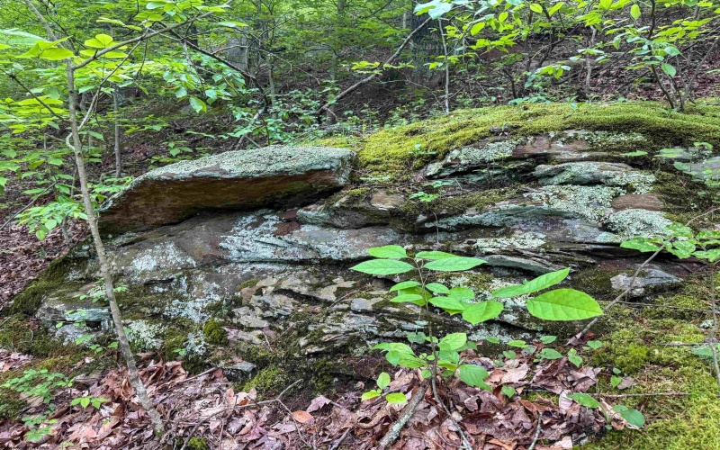 TBD Shortline Highway, New Martinsville, West Virginia 26162, ,Lots/land,For Sale,Shortline,10159922