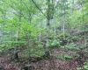 TBD Shortline Highway, New Martinsville, West Virginia 26162, ,Lots/land,For Sale,Shortline,10159922