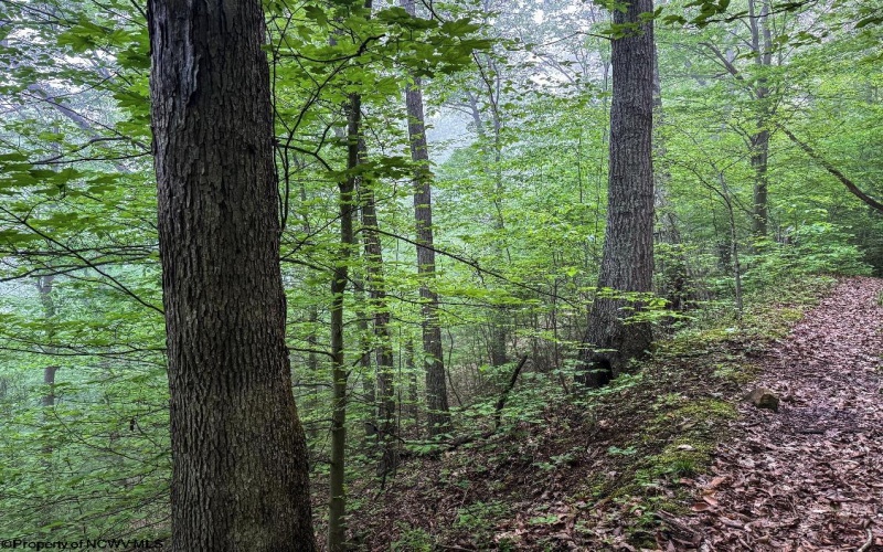 TBD Shortline Highway, New Martinsville, West Virginia 26162, ,Lots/land,For Sale,Shortline,10159922