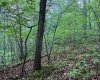 TBD Shortline Highway, New Martinsville, West Virginia 26162, ,Lots/land,For Sale,Shortline,10159922