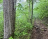 TBD Shortline Highway, New Martinsville, West Virginia 26162, ,Lots/land,For Sale,Shortline,10159922