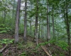 TBD Shortline Highway, New Martinsville, West Virginia 26162, ,Lots/land,For Sale,Shortline,10159922