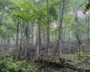 TBD Shortline Highway, New Martinsville, West Virginia 26162, ,Lots/land,For Sale,Shortline,10159922