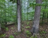 TBD Shortline Highway, New Martinsville, West Virginia 26162, ,Lots/land,For Sale,Shortline,10159922