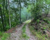 TBD Shortline Highway, New Martinsville, West Virginia 26162, ,Lots/land,For Sale,Shortline,10159922