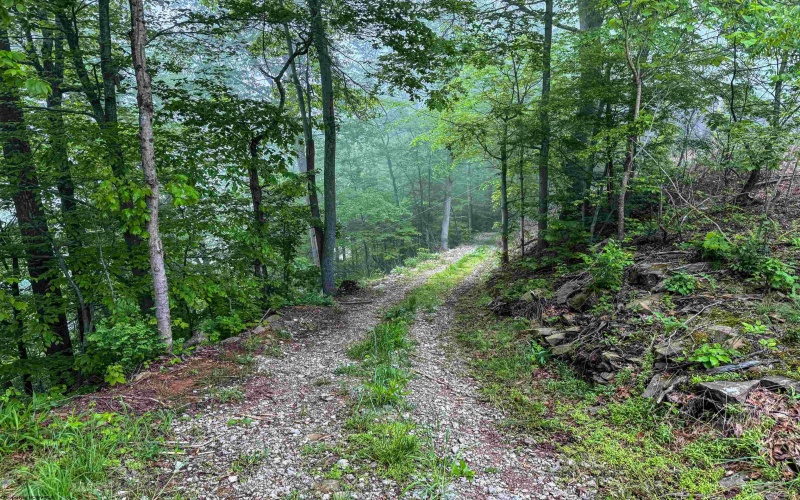 TBD Shortline Highway, New Martinsville, West Virginia 26162, ,Lots/land,For Sale,Shortline,10159922