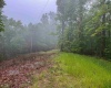 TBD Shortline Highway, New Martinsville, West Virginia 26162, ,Lots/land,For Sale,Shortline,10159922