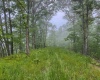 TBD Shortline Highway, New Martinsville, West Virginia 26162, ,Lots/land,For Sale,Shortline,10159922