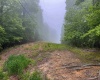 TBD Shortline Highway, New Martinsville, West Virginia 26162, ,Lots/land,For Sale,Shortline,10159922
