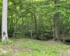 1845 Whitewater Parkway Road, Bruceton Mills, West Virginia 26525, ,Lots/land,For Sale,Whitewater Parkway,10159935