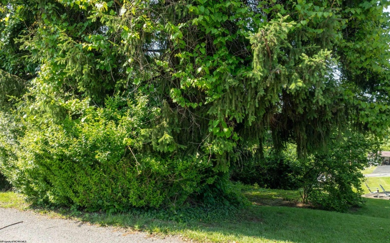 tbd Michigan Avenue, Westover, West Virginia 26501, ,Lots/land,For Sale,Michigan,10159932