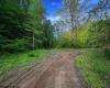 TBD Right Hand Road, Pine Grove, West Virginia 26419, ,Lots/land,For Sale,Right Hand,10159923
