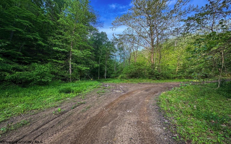 TBD Right Hand Road, Pine Grove, West Virginia 26419, ,Lots/land,For Sale,Right Hand,10159923