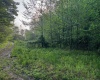 TBD Right Hand Road, Pine Grove, West Virginia 26419, ,Lots/land,For Sale,Right Hand,10159923