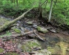 TBD Right Hand Road, Pine Grove, West Virginia 26419, ,Lots/land,For Sale,Right Hand,10159923