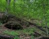 TBD Right Hand Road, Pine Grove, West Virginia 26419, ,Lots/land,For Sale,Right Hand,10159923