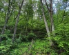 TBD Right Hand Road, Pine Grove, West Virginia 26419, ,Lots/land,For Sale,Right Hand,10159923