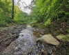 TBD Right Hand Road, Pine Grove, West Virginia 26419, ,Lots/land,For Sale,Right Hand,10159923