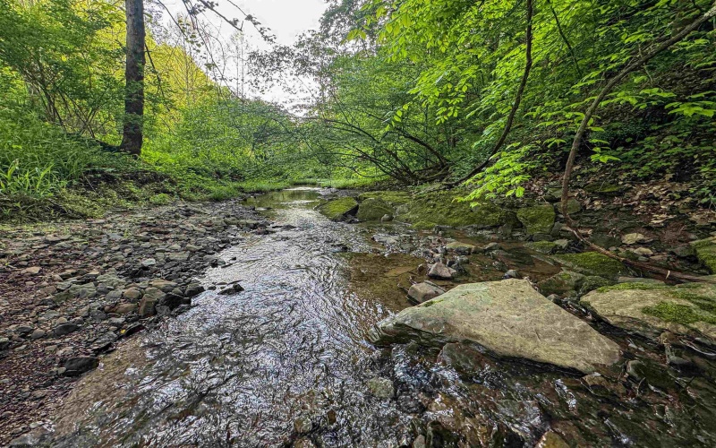 TBD Right Hand Road, Pine Grove, West Virginia 26419, ,Lots/land,For Sale,Right Hand,10159923
