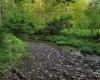 TBD Right Hand Road, Pine Grove, West Virginia 26419, ,Lots/land,For Sale,Right Hand,10159923