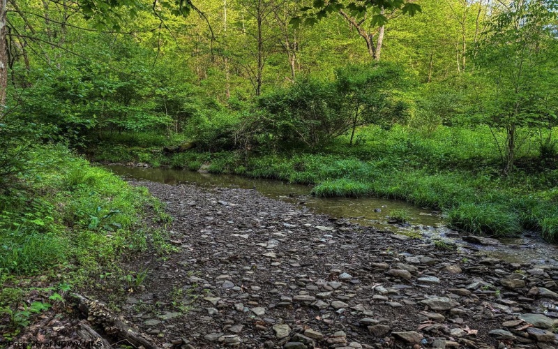 TBD Right Hand Road, Pine Grove, West Virginia 26419, ,Lots/land,For Sale,Right Hand,10159923