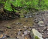 TBD Right Hand Road, Pine Grove, West Virginia 26419, ,Lots/land,For Sale,Right Hand,10159923