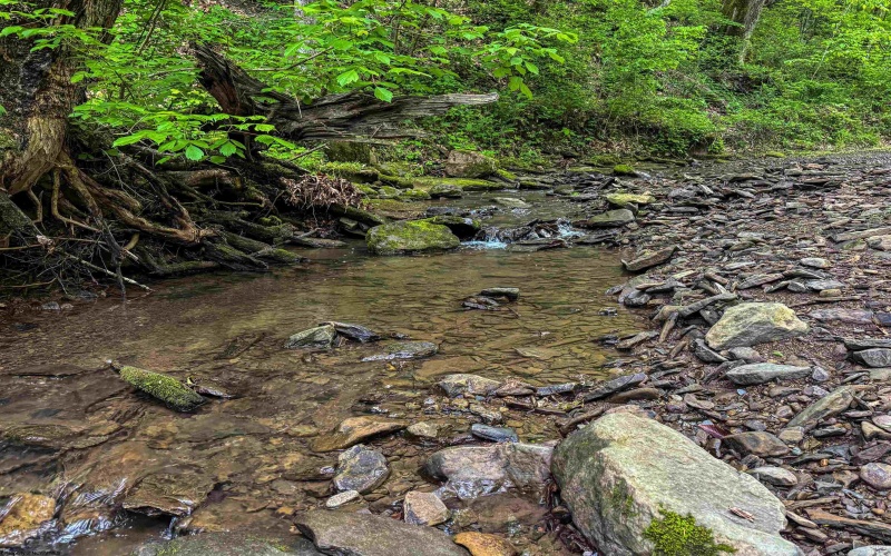 TBD Right Hand Road, Pine Grove, West Virginia 26419, ,Lots/land,For Sale,Right Hand,10159923