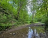 TBD Right Hand Road, Pine Grove, West Virginia 26419, ,Lots/land,For Sale,Right Hand,10159923