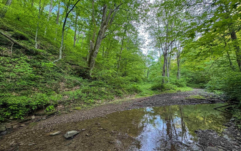TBD Right Hand Road, Pine Grove, West Virginia 26419, ,Lots/land,For Sale,Right Hand,10159923